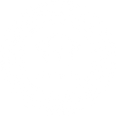 ICDP