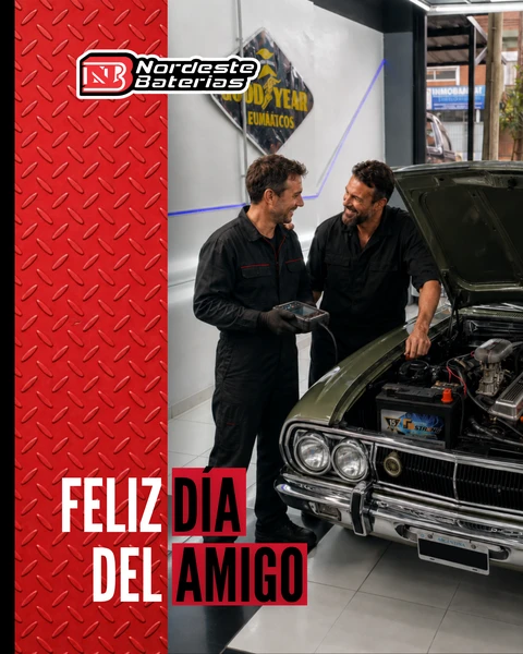 Día del Amigo — Nordeste Baterías